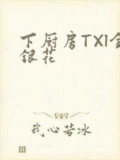 下厨房TXl金银花