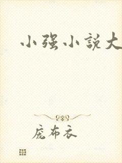 小强小说大全封面