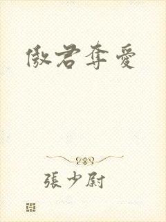 傲君夺爱封面