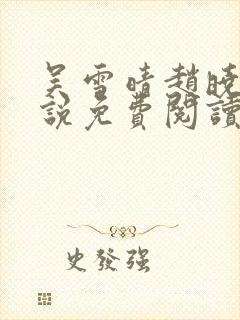 吴雪晴赵晓东小说免费阅读封面