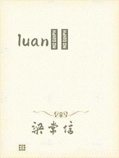 luanС˵封面