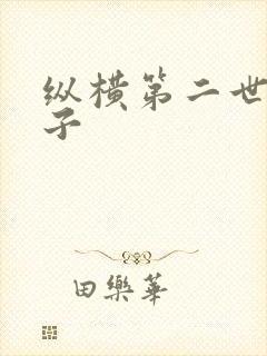 纵横第二世界宽子封面