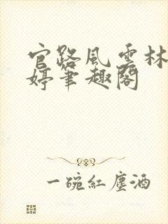 官路风云林海姜婷笔趣阁