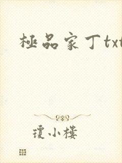 极品家丁txt