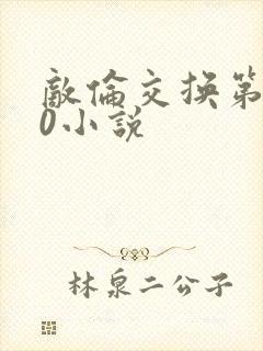 敌伦交换第150小说封面