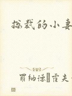 总裁的小妻子