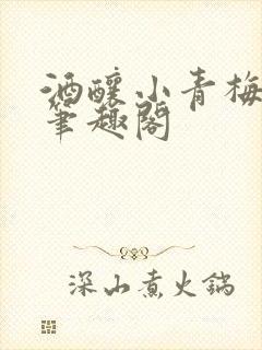 酒酿小青梅po笔趣阁