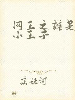 网王之谁是我的小王子封面