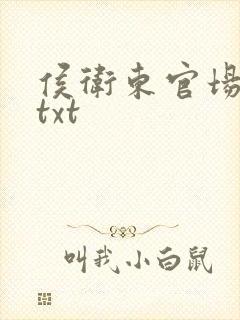 侯卫东官场笔记txt