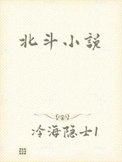 北斗小说