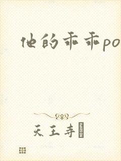 他的乖乖pop