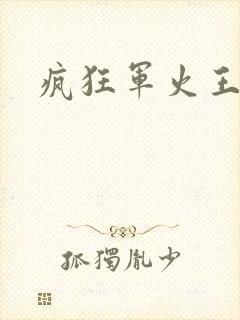 疯狂军火王