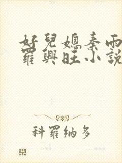 好儿媳秦雨罗明罗兴旺小说