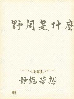 野周是什么意思