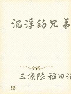 沉浮的兄弟封面