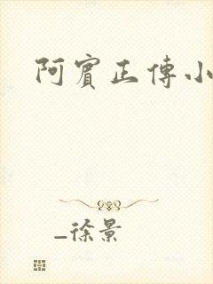 阿宾正传小说