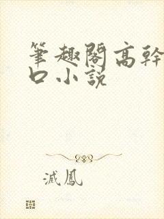 笔趣阁高干文入口小说
