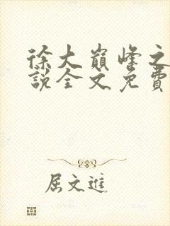 徐大巅峰之路小说全文免费阅读