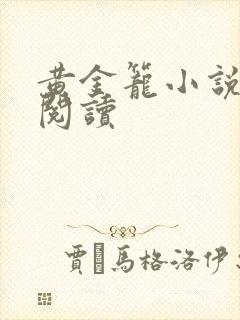 黄金笼小说免费阅读封面