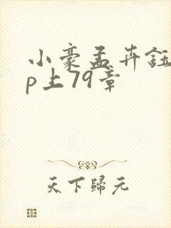 小豪孟卉钰慧三p上79章封面