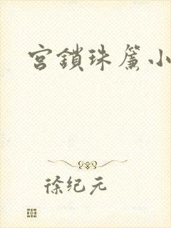 宫锁珠帘小说封面