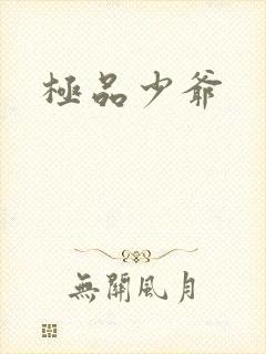极品少爷