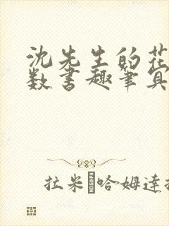 沈先生的花式调数书趣笔冥鸿封面