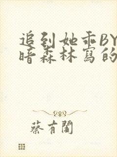 追到她乖BY黑暗森林写的小说
