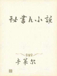 秘书h小说