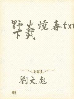 野火烧春txt下载
