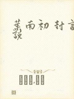 叶南初 封言小说
