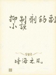 抑制剂的副作用小说