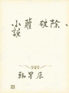 小萝 破除 小说