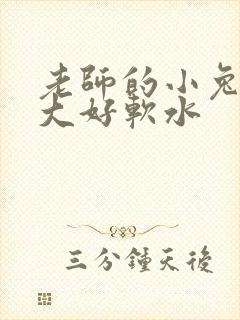 老师的小兔子好大好软水