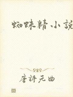 蜘蛛精小说封面