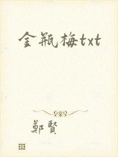 金瓶梅txt封面