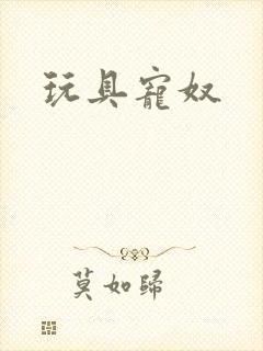 玩具宠奴