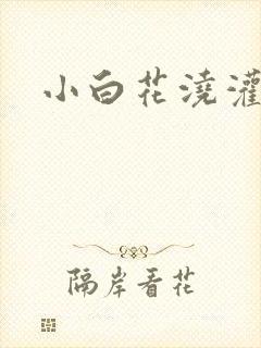 小白花浇灌日常封面