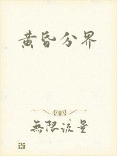 黄昏分界封面