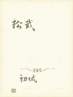 松武封面