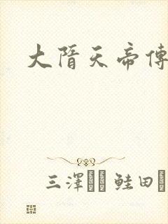 大隋天帝传封面