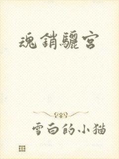 魂销骊宫