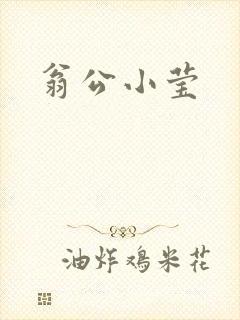 翁公小莹