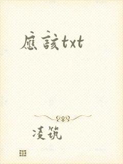 应该txt