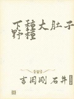 下种大肚子怀孕野种