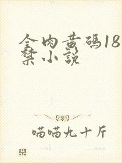 全肉黄码18无禁小说封面