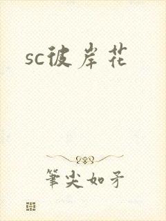 sc彼岸花封面
