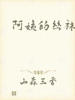阿姨的丝袜小说