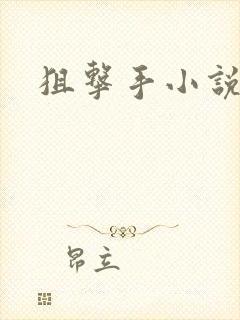 狙击手小说封面