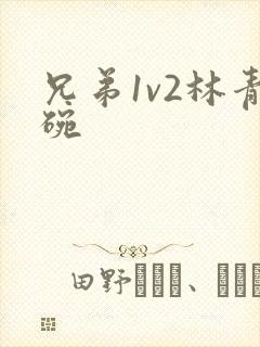 兄弟1v2林青碗封面